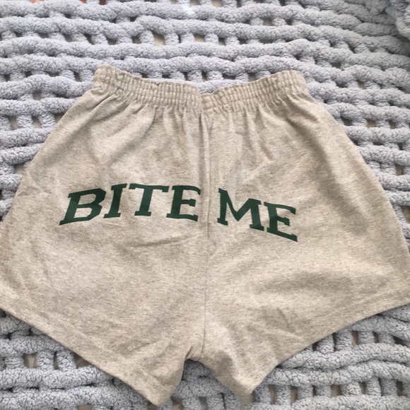 Gray casual shorts from Gatorland in FL - Picture 3 of 3